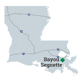 Bayou Segnette State Park