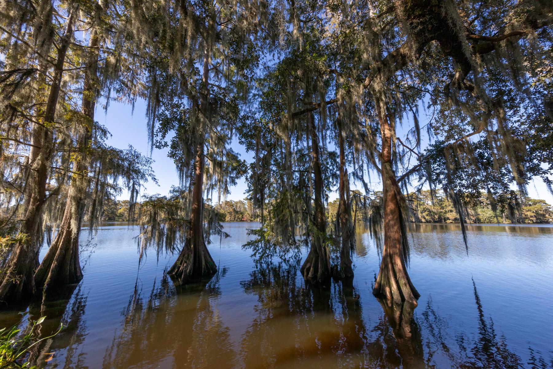 Fairview Riverside State Park