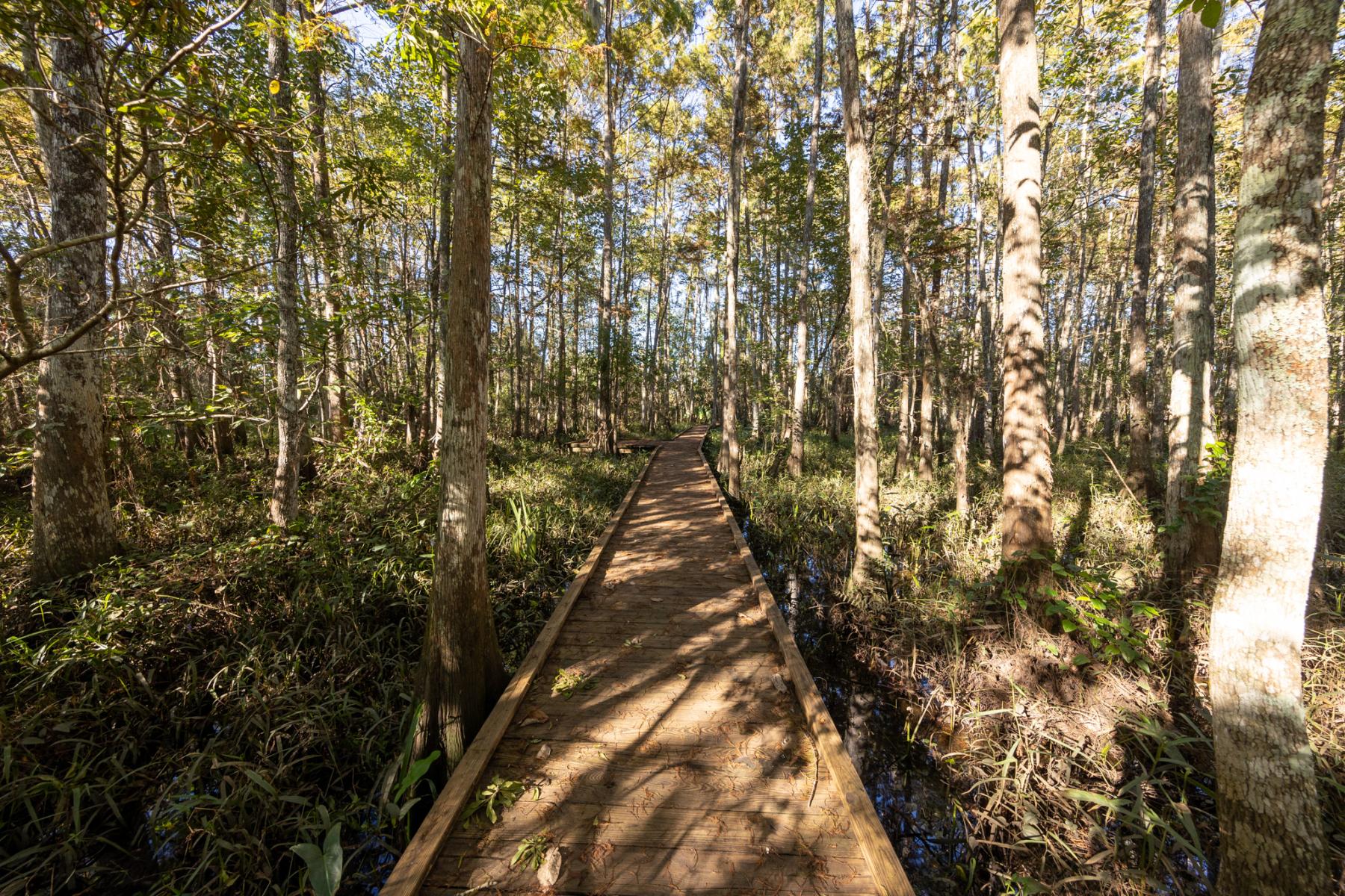 Fairview Riverside State Park boardwalk