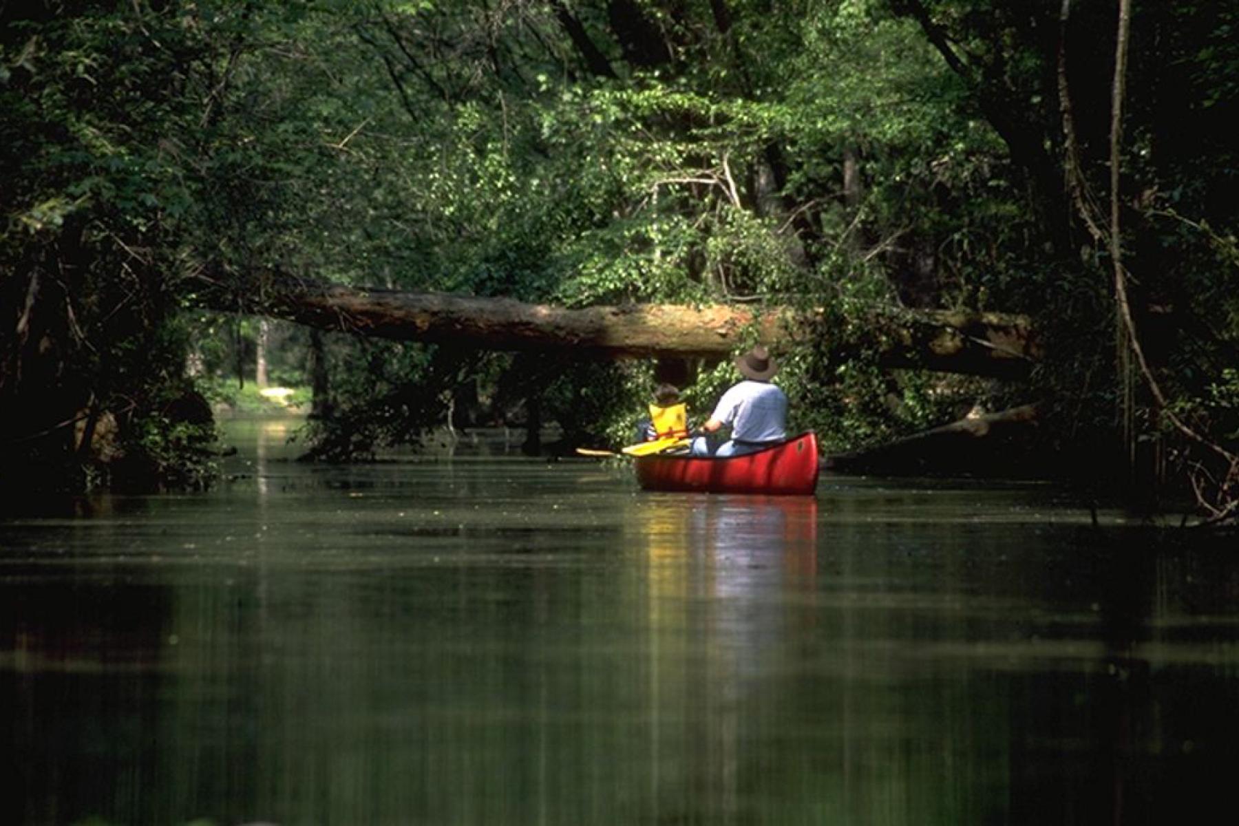 Canoers at Tickfaw State Park