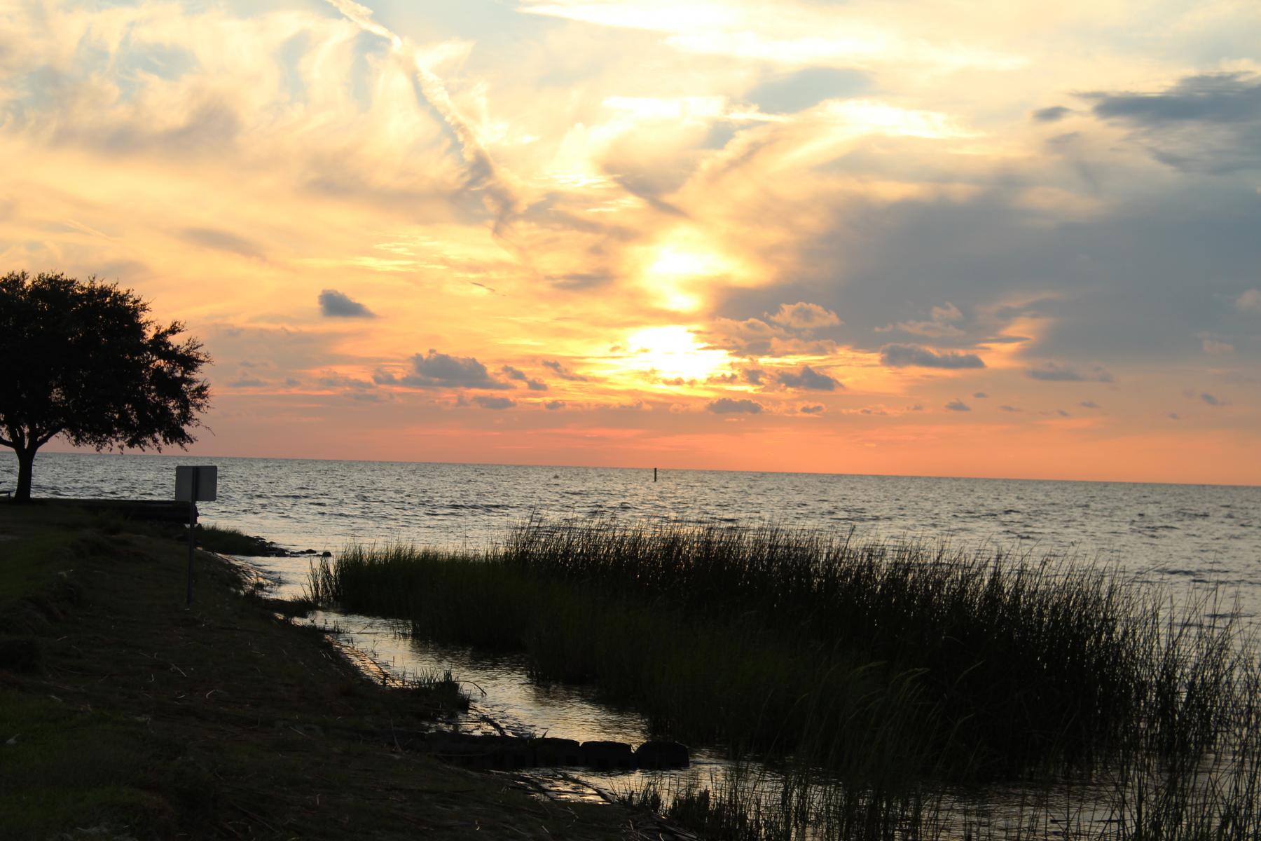 Cypermort Point