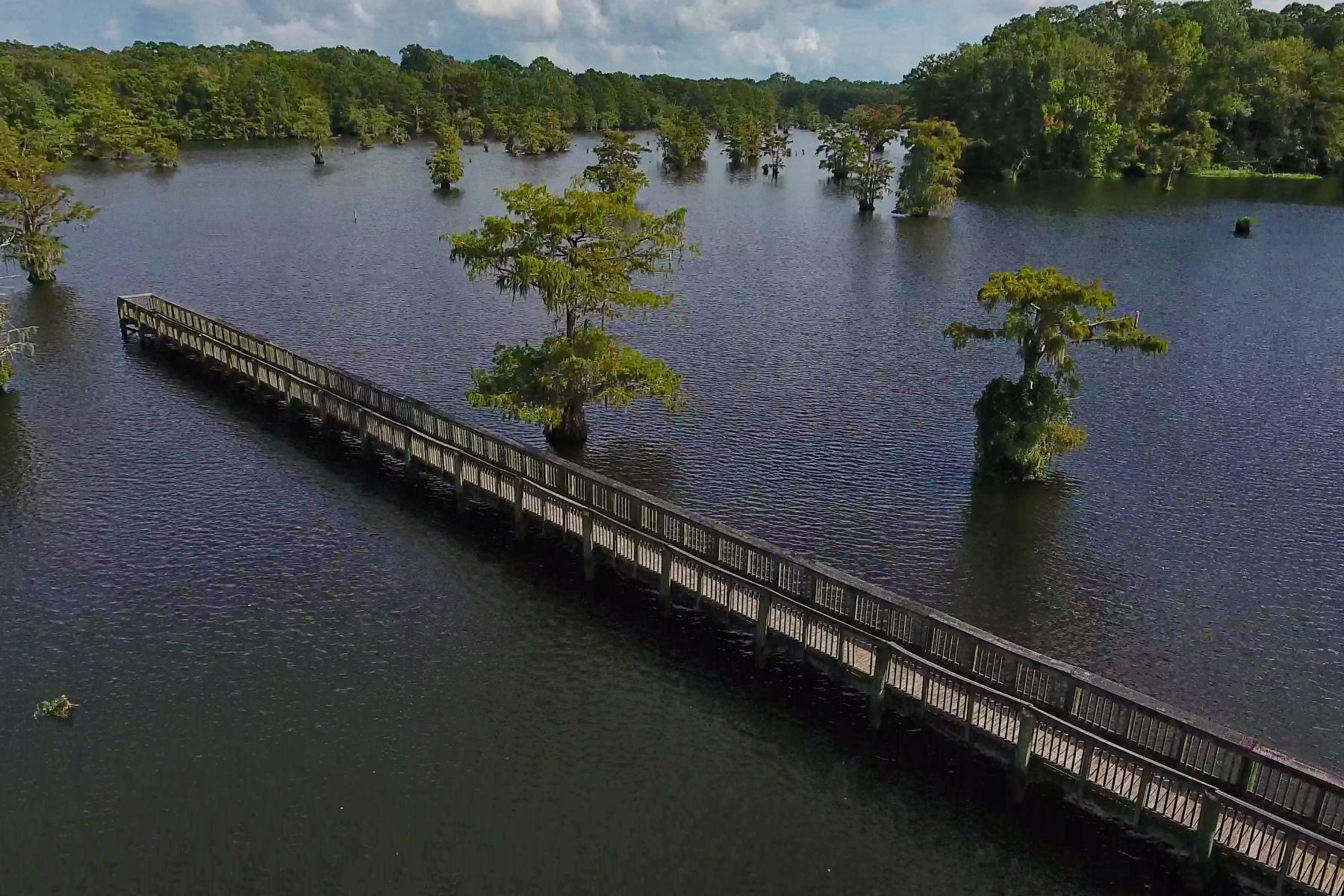 Boardwalk at Chicot State Park