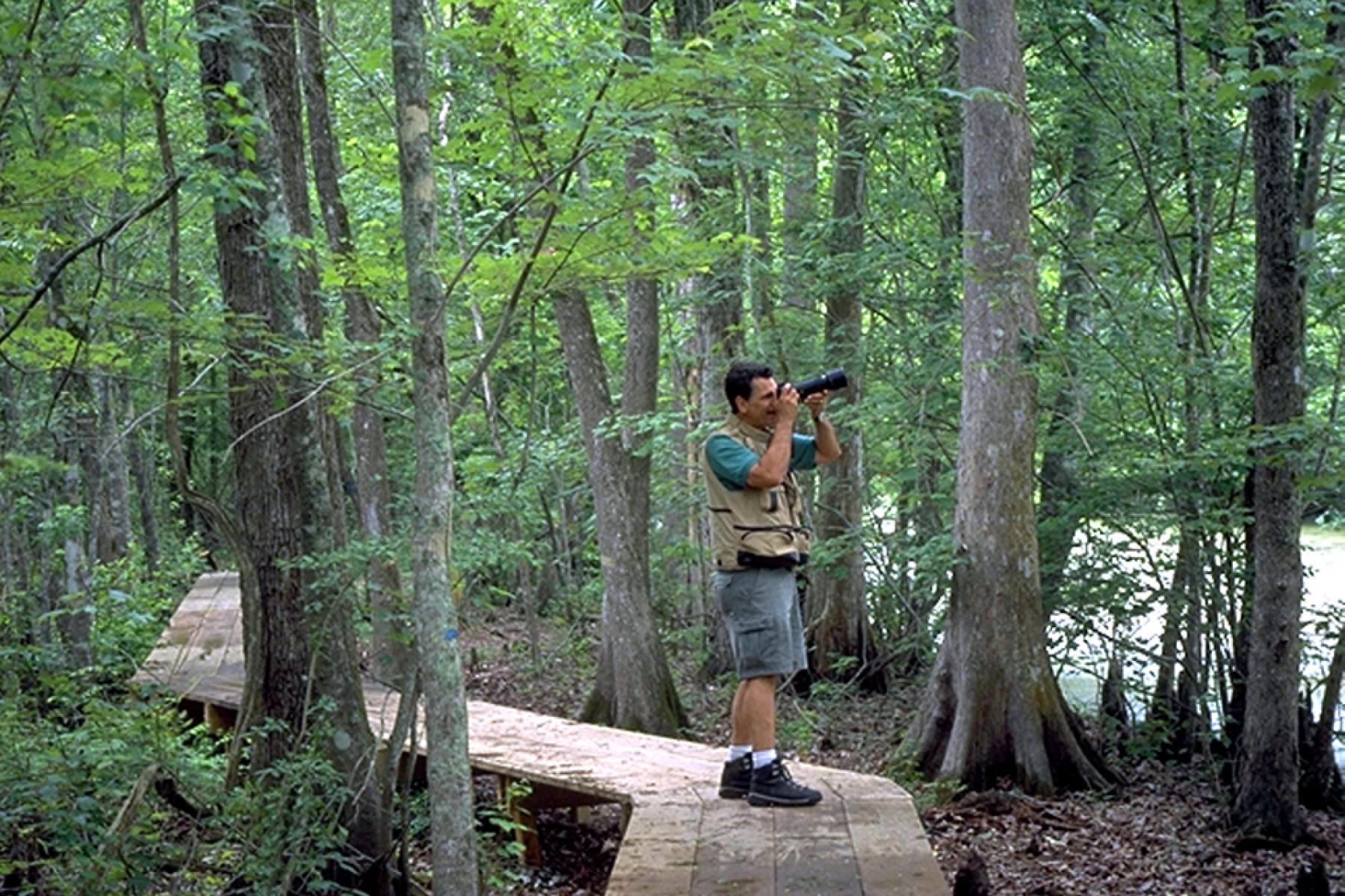 Lake Fausse Pointe State Park Boardwalk