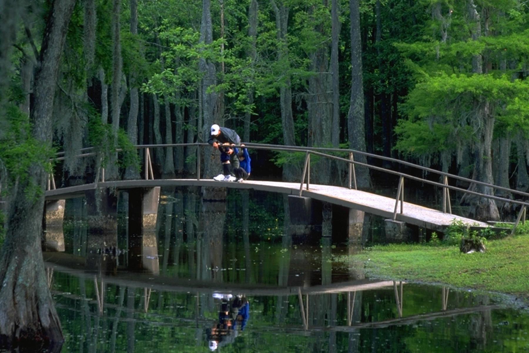 Sam Houston Jones State Park